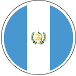 LATIN AMARICA flag
